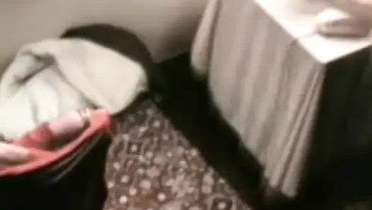 Jade muschicat klassische schönheit