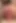 Kadın kılıklı cd mila dildo taşaklarını derine alıyor