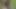 Ormanda yüzünü sikiyor hd