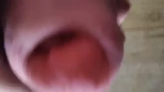 Vacu yarak