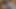 ついに皇后とセックスできる――ただし、ペニスじゃないけど:)