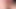 Pawgはすべての穴を埋めるのが大好き