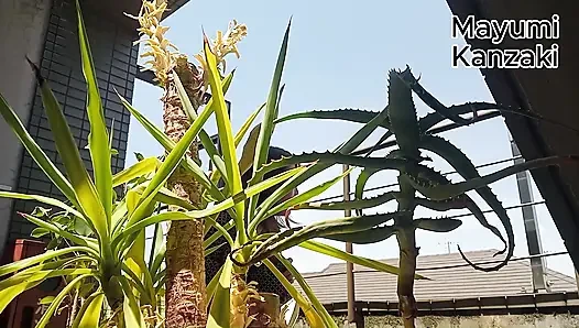 Buang Air Kecil Di Tanaman Pot