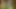 Bareback Ranchers Part #5 - Fully remastered in HD