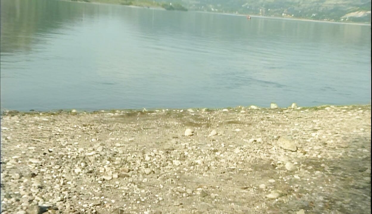 Mature Beach Slut Gets Ass Licked While Sucking Cock