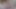 الملاك الآسيوي 25562