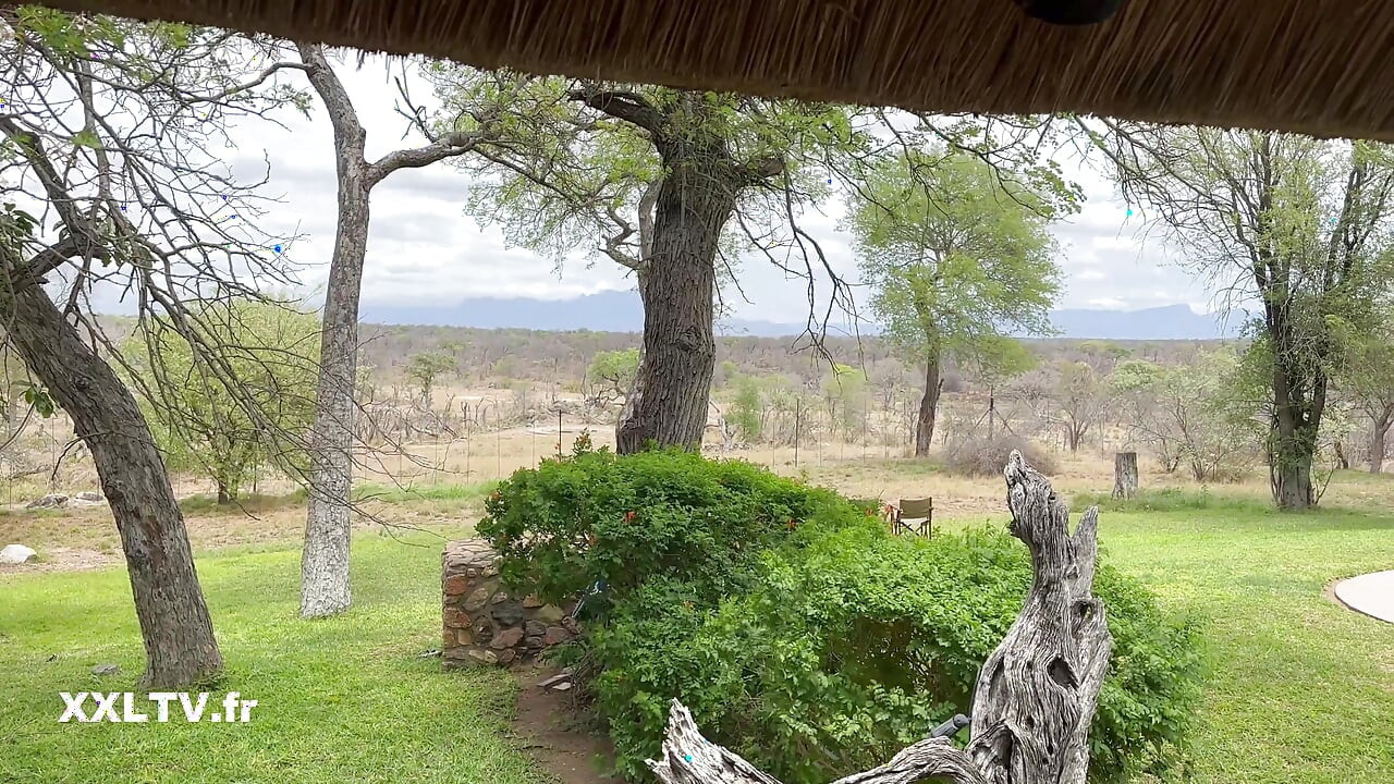 A playful arrival in Africa