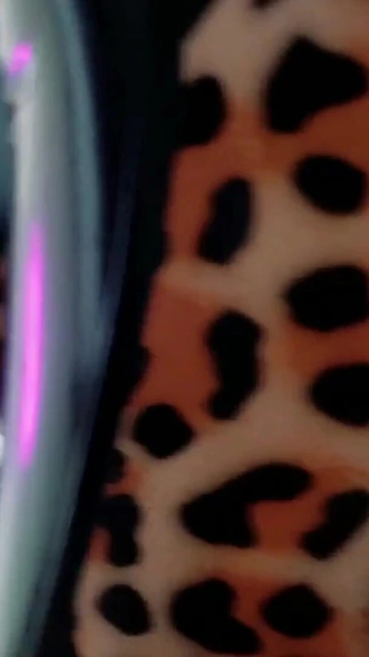 Memorable moment from "Free Latex Rubber Facesitting POV fetish video, Arya Grander"