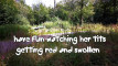 Pratonton Video