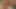 Brittany Stone porn video – Amateur teens eating each others delicious pussies