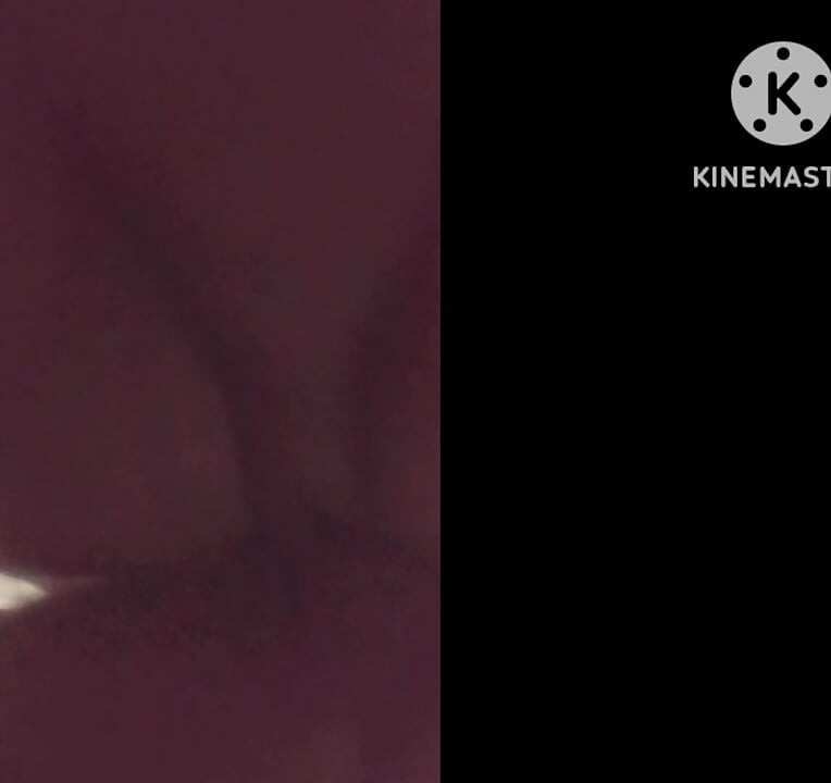 Fuc a Young Woman in the Ass desi