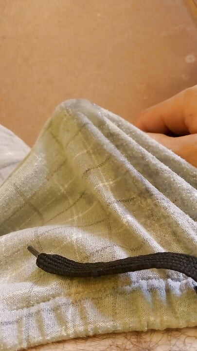 An erect cock. Waiting for a big ass