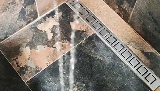 Piton serbest bırakiliyor