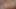 Tattooed tranny Nicolly Pantoja enjoys a threesome with a
