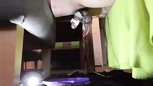 estim
