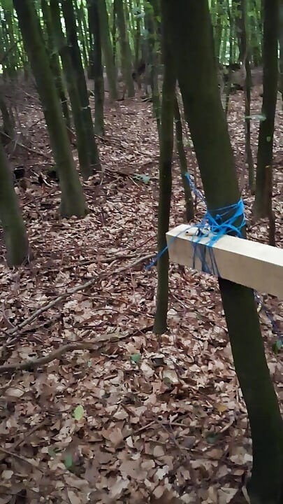 Pressure released in the forest