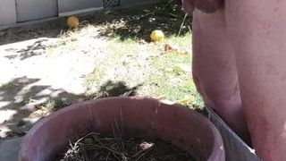 Pissing In Planter