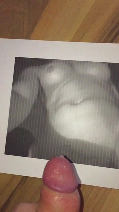 Cum-Tribut