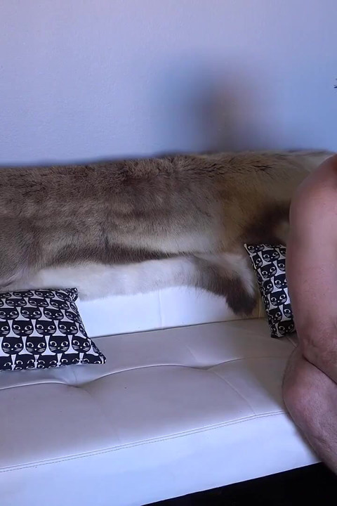 Lick My Ass