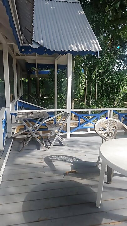 A lil slice of Paradise - Caribbean joy and delights