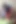 Amanda ve Carmela ile 120 numaralı porno filme ilişkin ateşli içgörüler