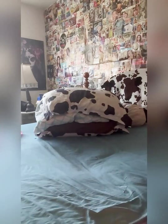 Fresh Sheets