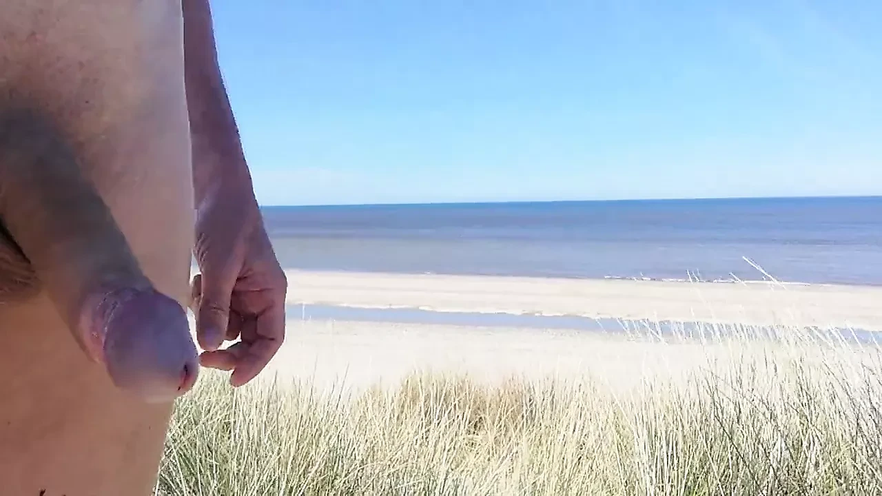 Nude walking through the Dutch dunes