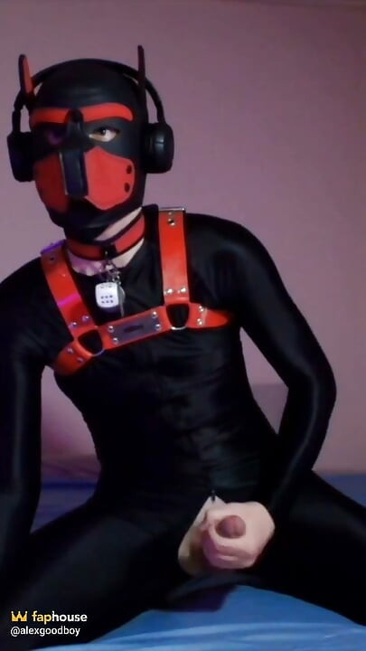 Remote Controlled Puppy Whimpers While Jerking off