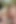 Sarışın 18 yaşındaki Dixie Lynn ilk porno videosunda yarak emerken gerçek hayattaki sakso hikayelerini paylaşıyor