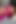 BBW MILF Fucking Stepmom - Video for Fans