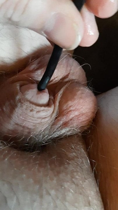 Hornybi1968