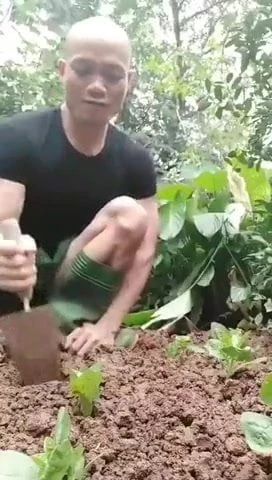 gardener