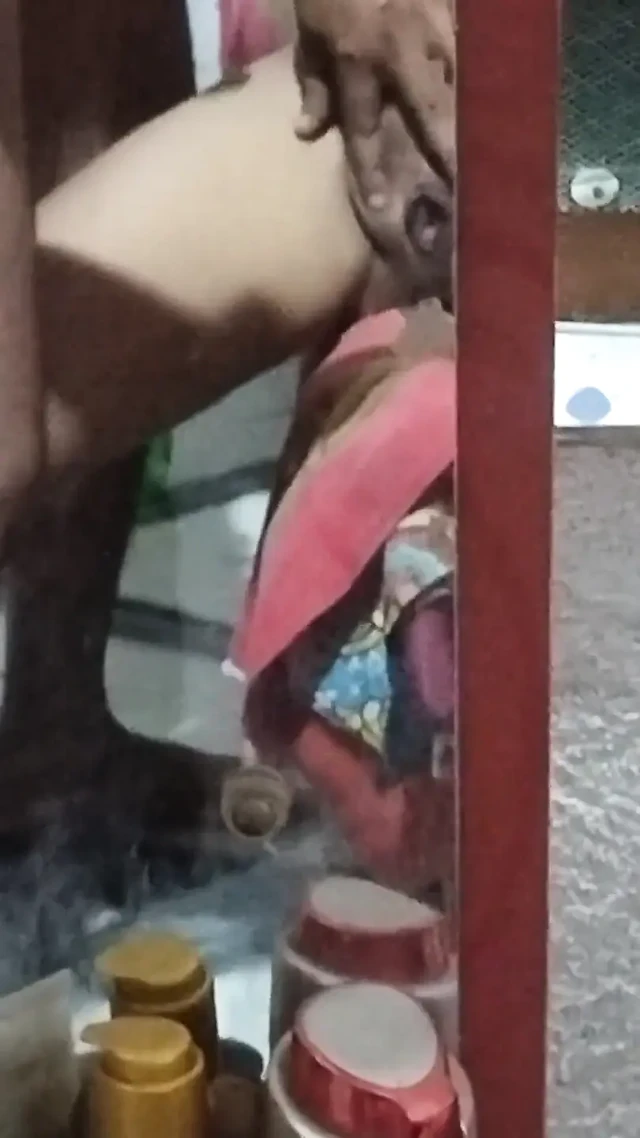 Desi Wife Fucked by Neighbour