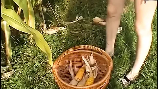 Edepsiz esmer açık havada mastürbasyon seviyor