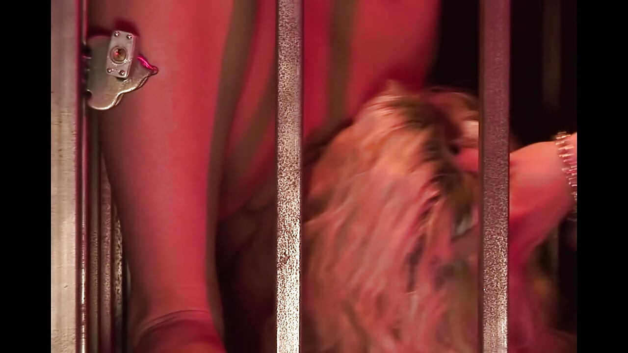 Στο μυστικό κελάρι, οι γυναίκες παίρνουν αυτό που θέλουν.