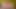 Early Christmas Gift (christmasturbation)