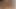 fucked my step brother in my rented flat