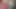 Julia Blanche masturbates with her pink vibrator