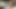 Trans Beauty Dazia Cockdazian Masturbates