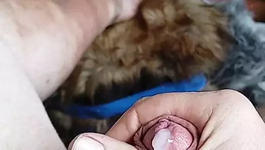 sandalyede cumming.