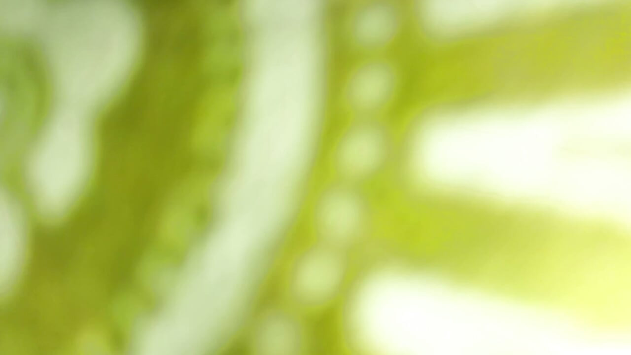 Bangladeshi Blowjob my big cock and hardcore sex