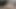 Dlakava guzica željno uzima crveni dildo - luda studentica