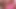 Brynn