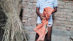 Pratinjau video