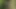 Two horny guys started having sex on an outdoor swing