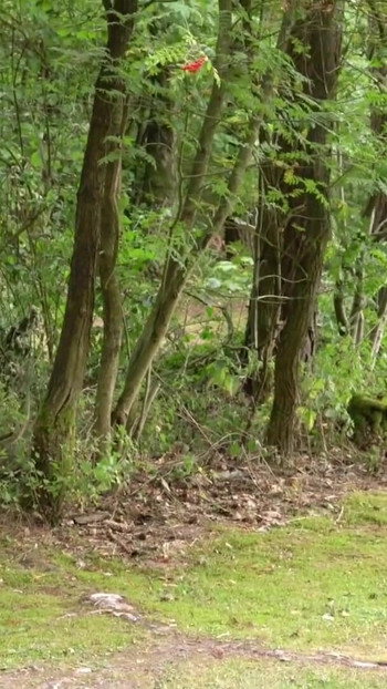 Iconic moment from "GERMAN TEEN IN REAL OUTDOOR FAN FUCK WITH TWO BIG DICK USER"