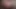 Long video of a wild spring break house party