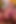 ドイツのセックススターズ DP ブロンドの胸 チンコ ティーラス
