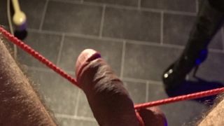 Singletail-whip on cock