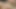 POV - Spex slut Elena Lux is a horny fuck babe